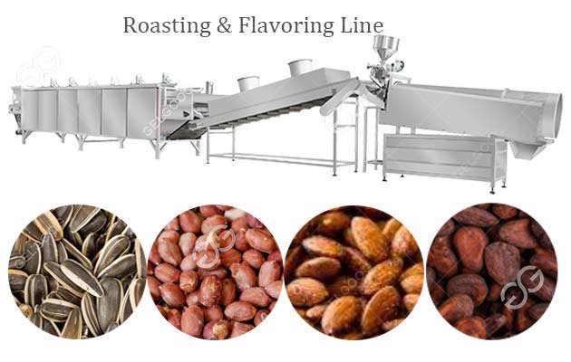 sunflower seed roasting line