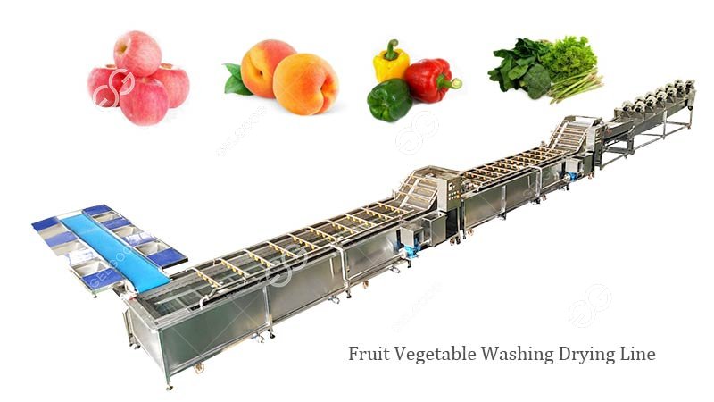 industrial fruit washing machine for sale