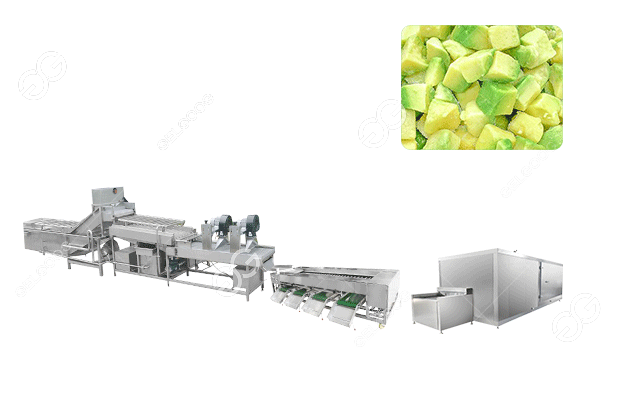 avocado washing and freezing processing line