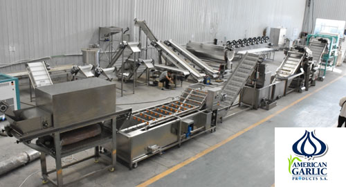 American Garlic Products Ordered Garlic Processing Line to Argentina