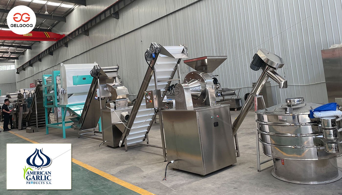 Garlic processing Machine Export Argentina