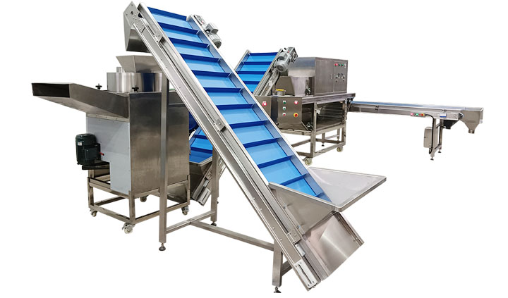 Fully Automatic Garlic Splitting Peeling Machine for Sale