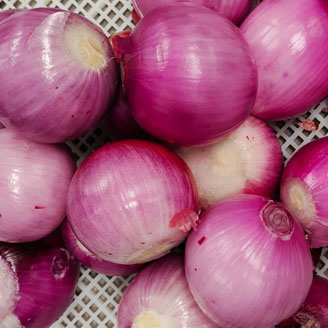 Onions After Peeling