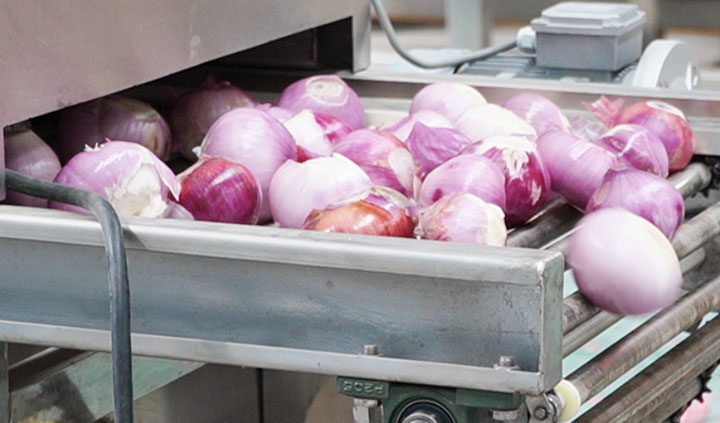 Automatic Onion Peeling Machine for Sale