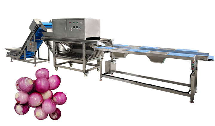 Automatic Onion Peeling Machine for Sale