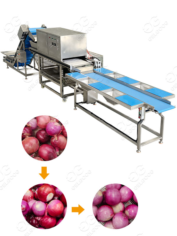 Introduction of Automatic Onion Peeling Machine