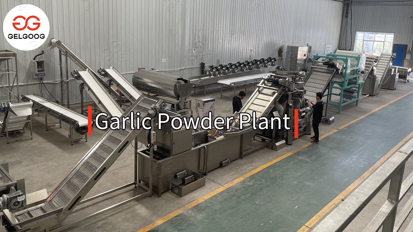 Garlic Powder Processing Plant to Argentina