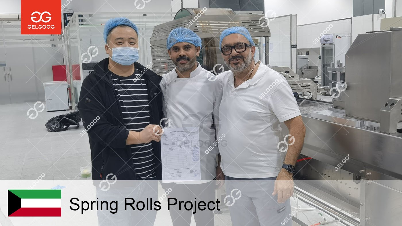 Kuwait Frozen Spring Roll Production Line Project