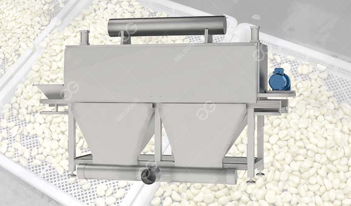 Fully Automatic Garlic Splitting Peeling Machine for Sale