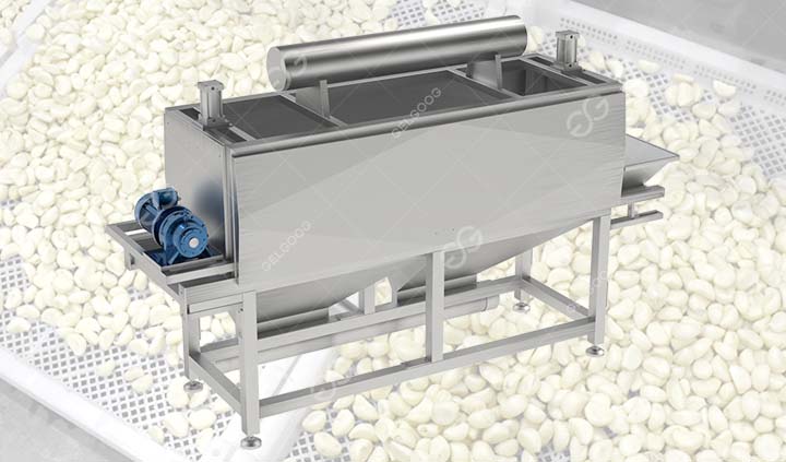 Fully Automatic Garlic Splitting Peeling Machine for Sale