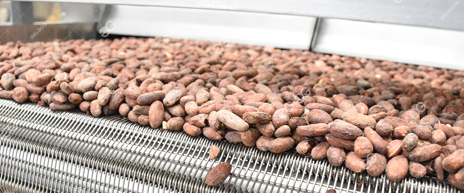 Roasting Machine for Cocoa Beans