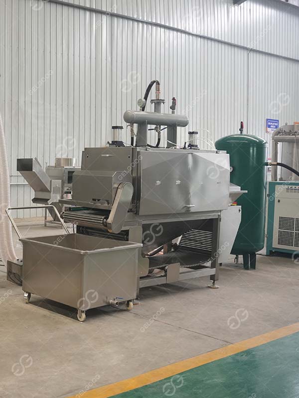 Introduction of Automatic Garlic Peeling Machine