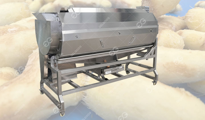 Ginger Washing and Peeling Machine