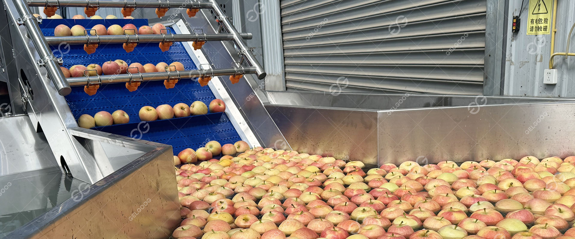 Cleaning Fruit 